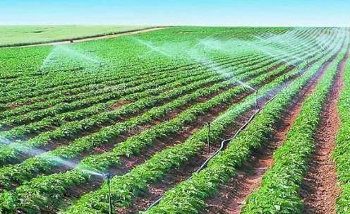 欧美老太婆操屄视频农田高 效节水灌溉